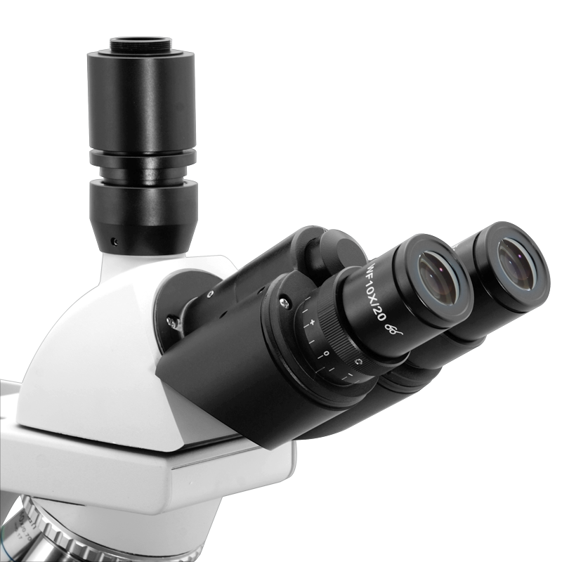 Biological Microscope